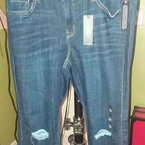 NWT A.n.a Women's Blue Jegging Ripped Jeans 14P